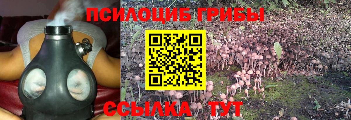 Псилоцибиновые грибы MAGIC MUSHROOMS Батайск